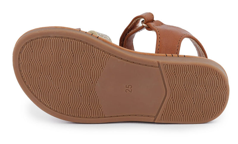 815-66 Camel