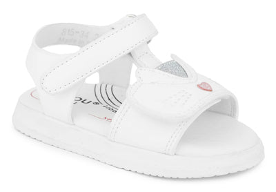 815-34 White