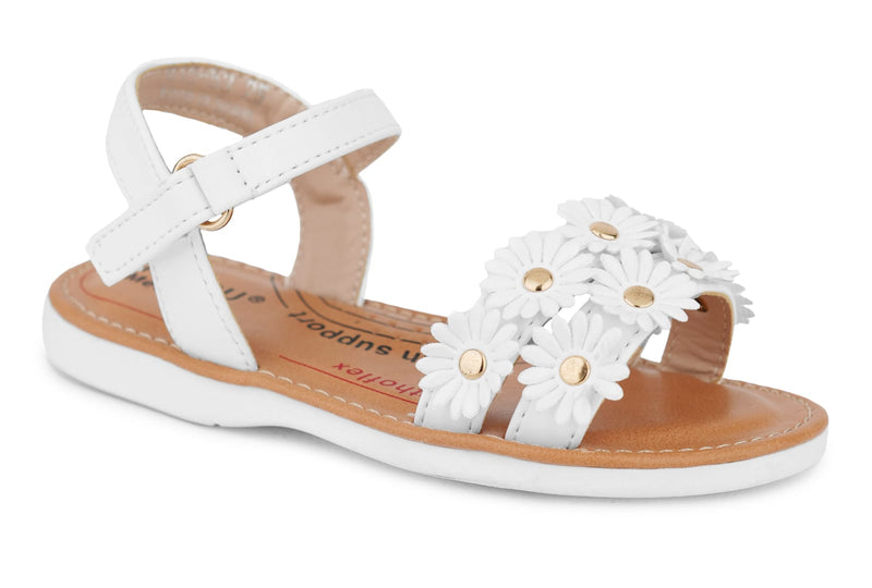 815-53 White