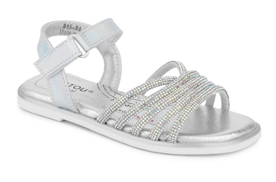 815-51 Silver