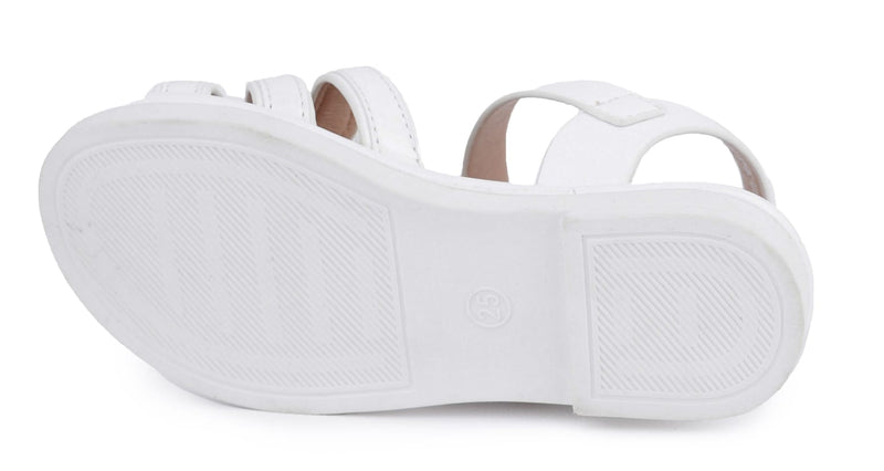 815-54 White