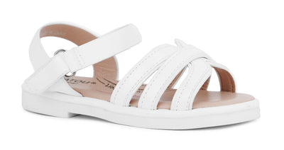 815-54 White